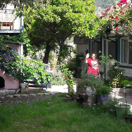 Zakkum Guest house *