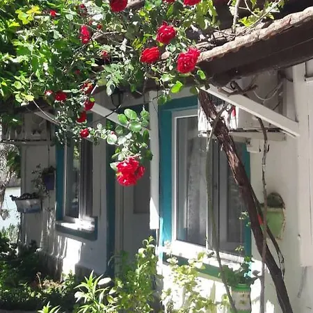 Zakkum Guest house